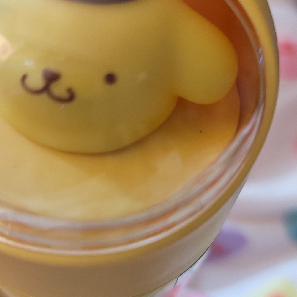Pompompurin Flask - Picture 8 of 8